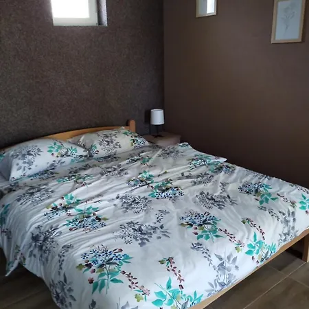 Hit Pacir2&3 * Pačir