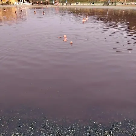 Lejlighed Hit Pacir2&3 Pacir